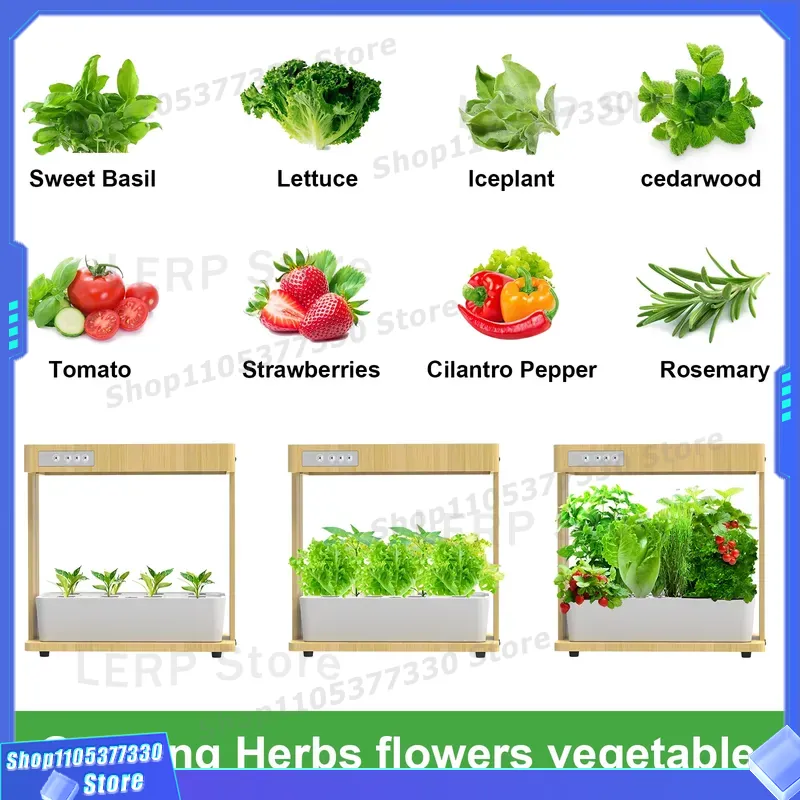 IGS-05 Smart Hydroponic Garden - đánh giá và giá Indoor Herb Garden Grow Light Smart Kit