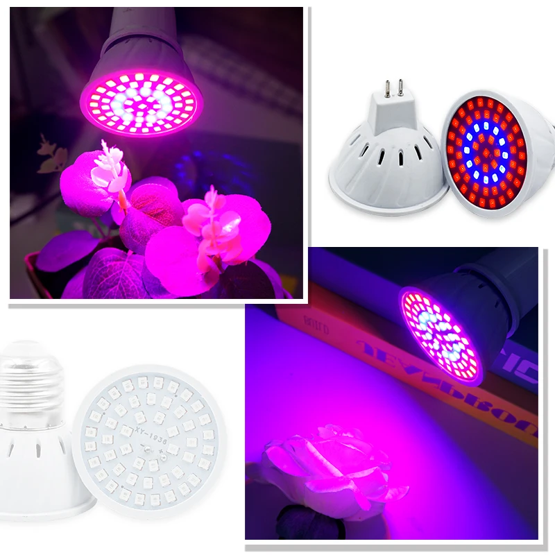 Phyto Lamp Full Spectrum LED G - đánh giá và giá Plant Grow Light Full Spectrum Clip On