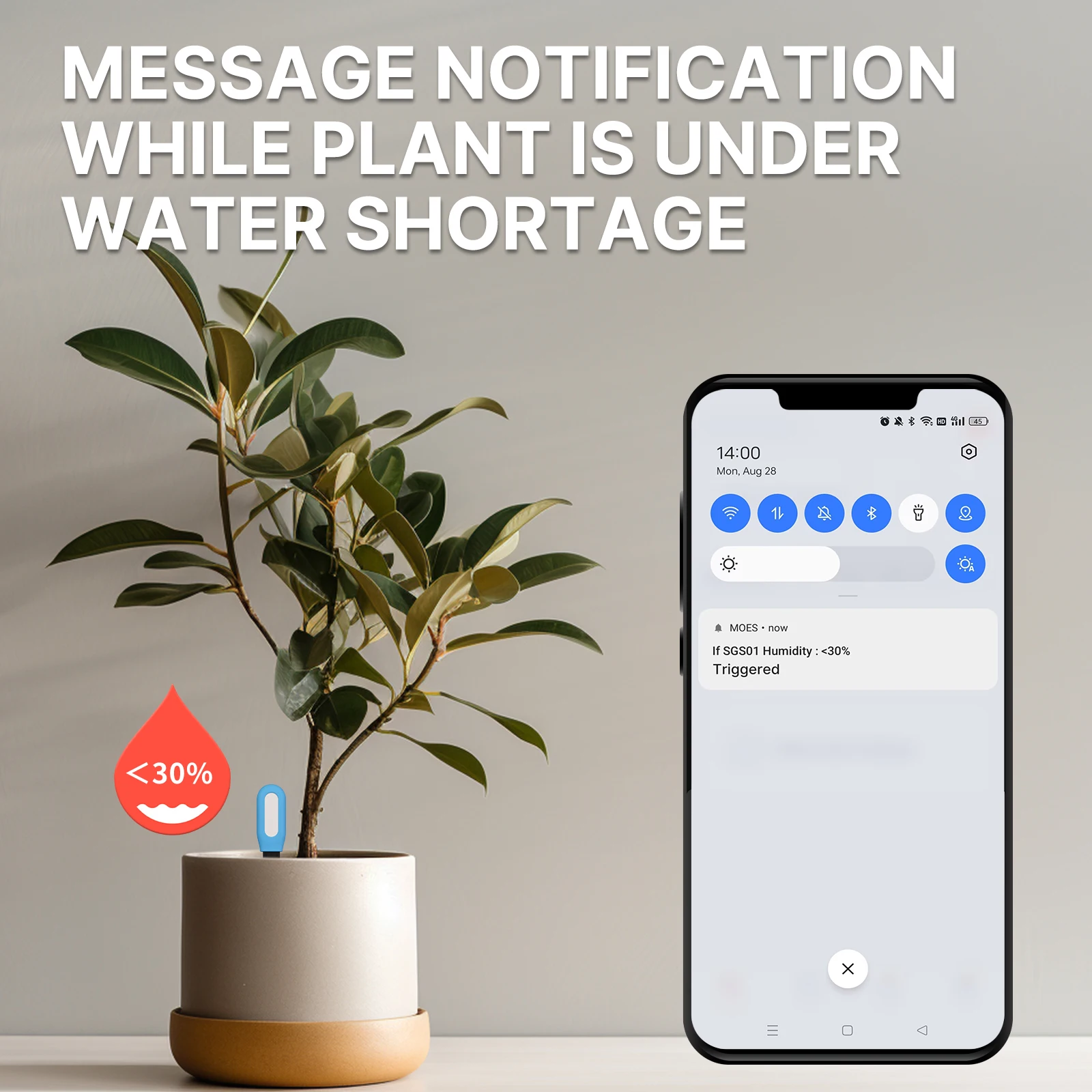 MOES Smart Bluetooth Soil Test - đánh giá và giá Smart Plant Sensor Soil Moisture Meter