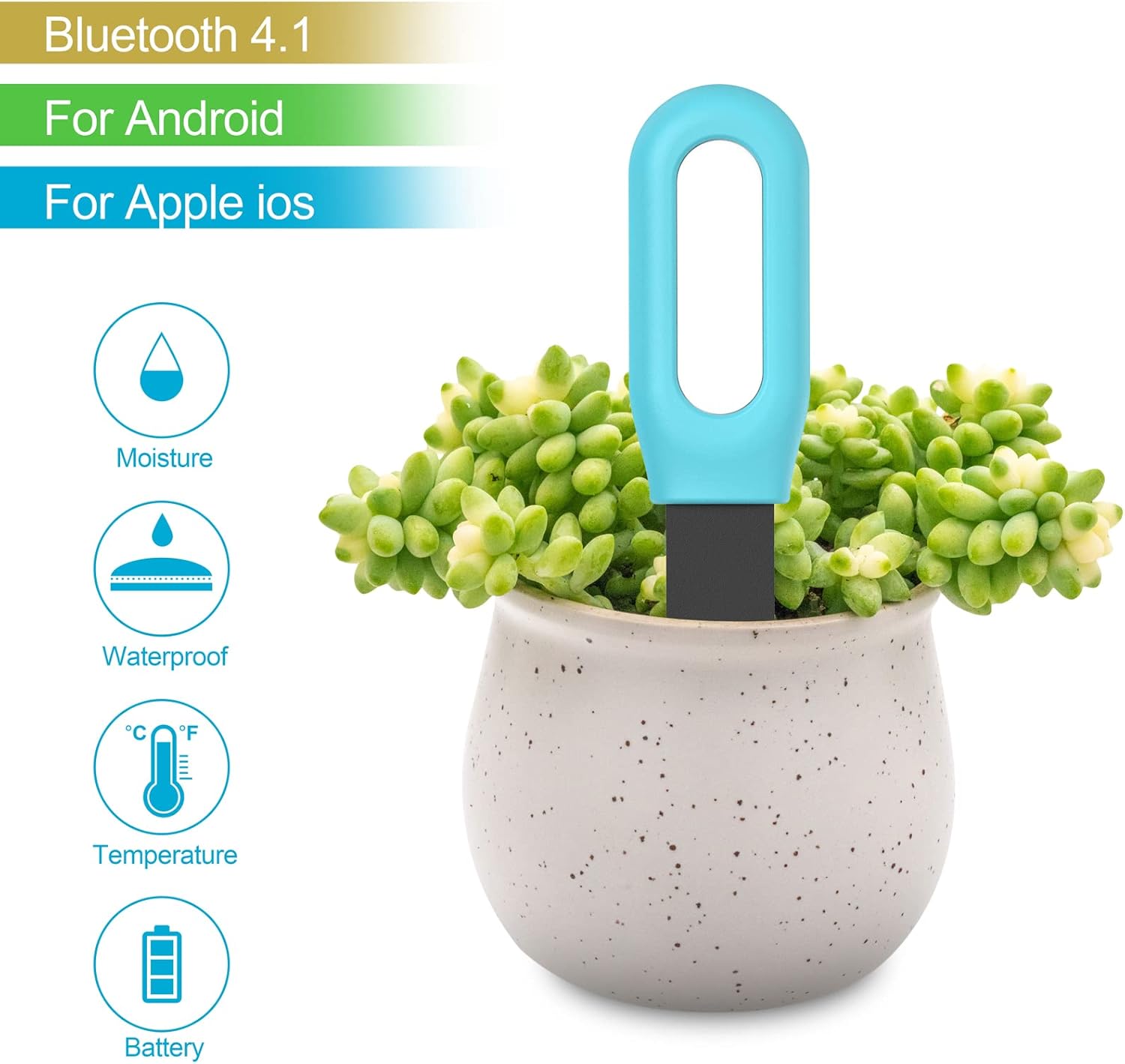 Tuya Bluetooth Zigbee Smart So - đánh giá và giá Tuya Zigbee Soil Moisture Temperature Sensor