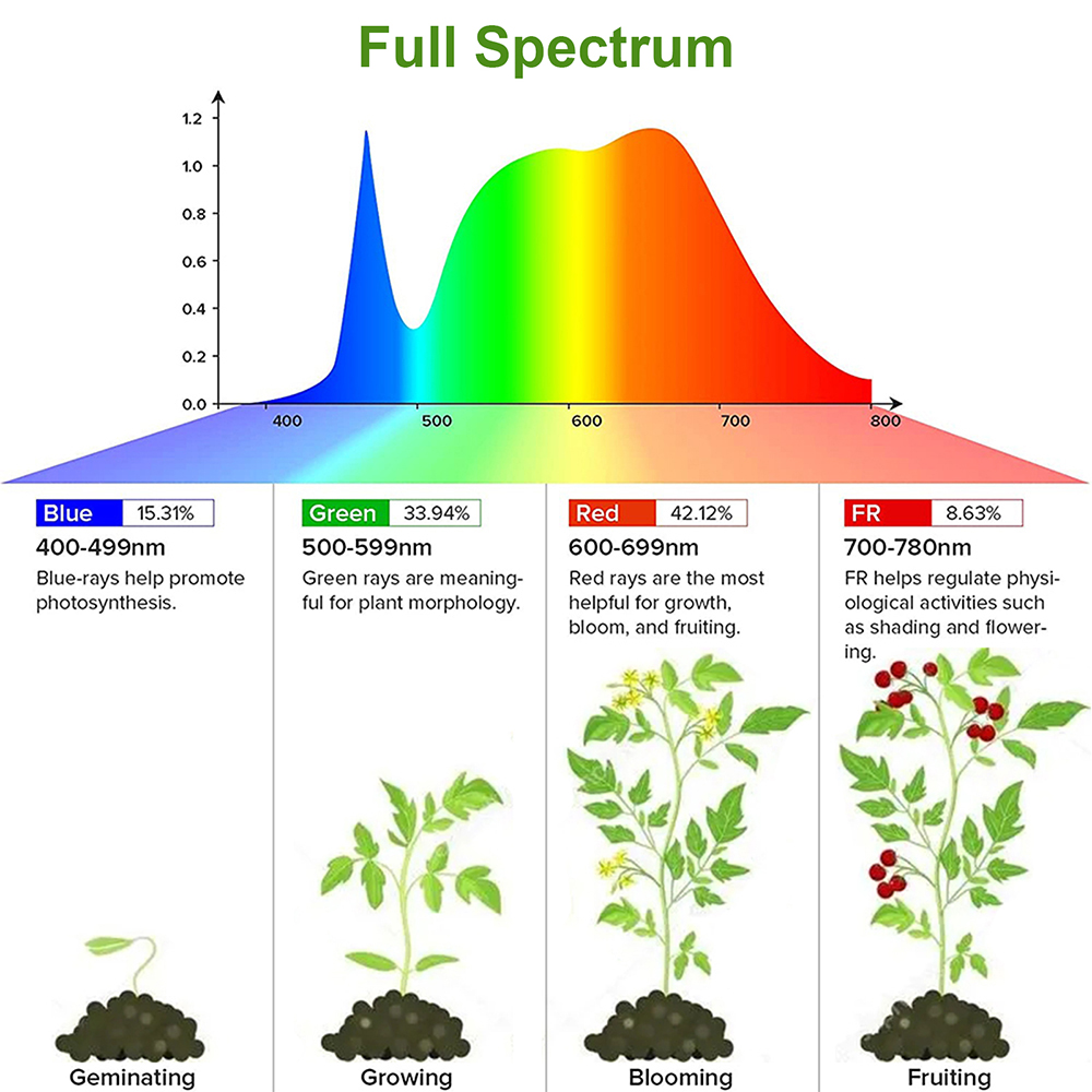1/2/3/4Head LED Grow Light Str - đánh giá và giá Plant Grow Light Full Spectrum Clip On