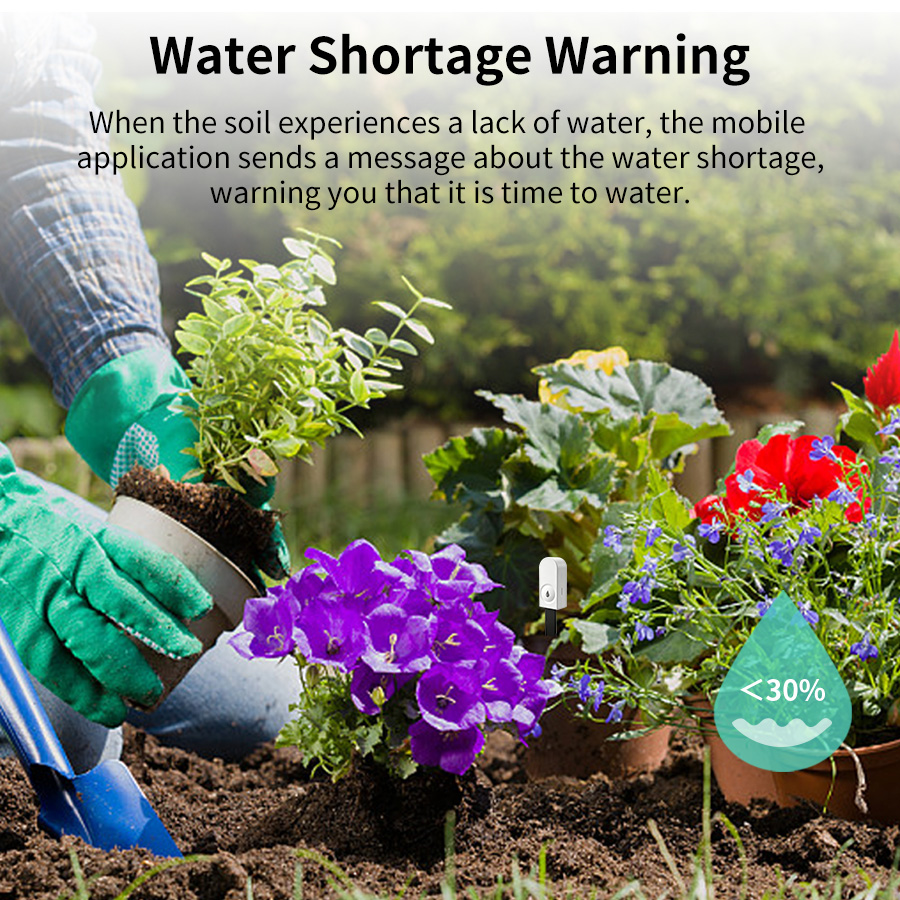 Smart ZigBee Soil Moisture Sen - đánh giá và giá Tuya Zigbee Soil Moisture Temperature Sensor