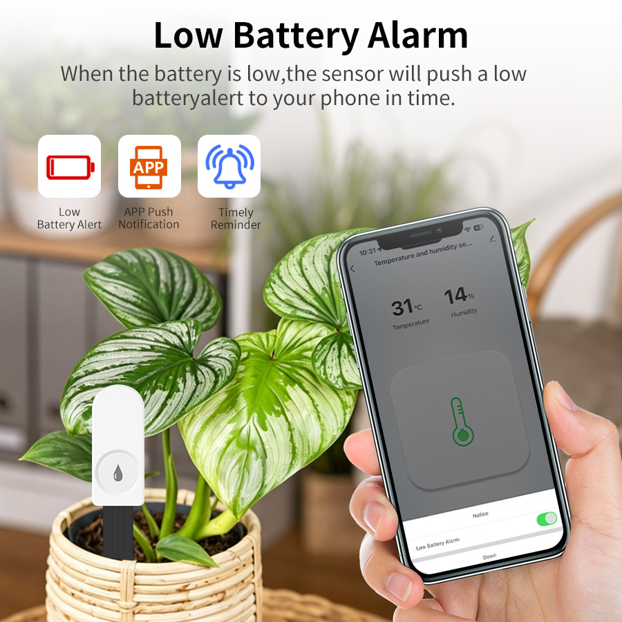 Smart ZigBee Soil Moisture Sen - đánh giá và giá Tuya Zigbee Soil Moisture Temperature Sensor