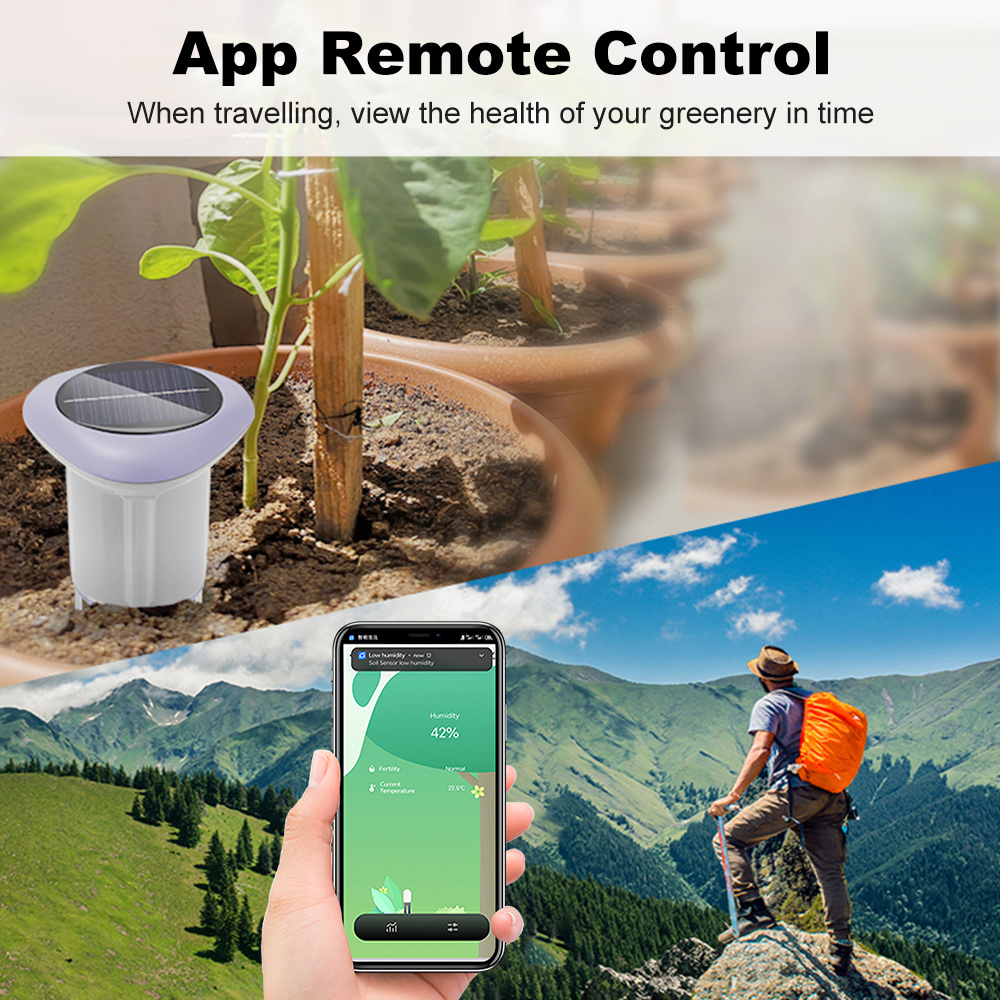 Zigbee Solar Soil Sensor Teste - đánh giá và giá Smart Plant Sensor Soil Moisture Meter