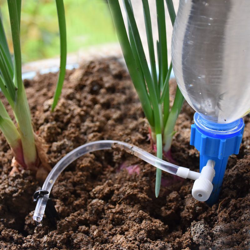 Tưới Nhỏ Giọt Tự Động Vật Có W - đánh giá và giá Automatic Plant Watering Spikes Drip Kit