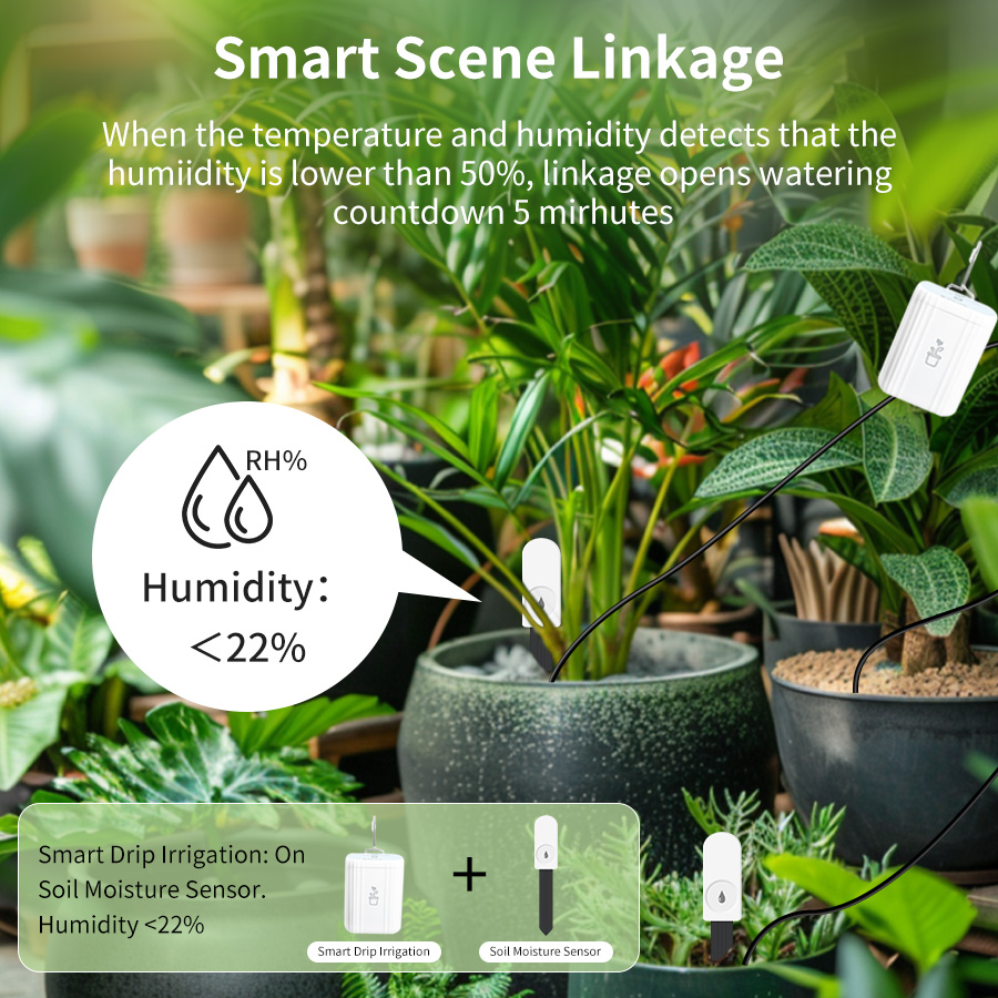 Smart Zigbee 3.0 Soil Tester H - đánh giá và giá Tuya Zigbee Soil Moisture Temperature Sensor