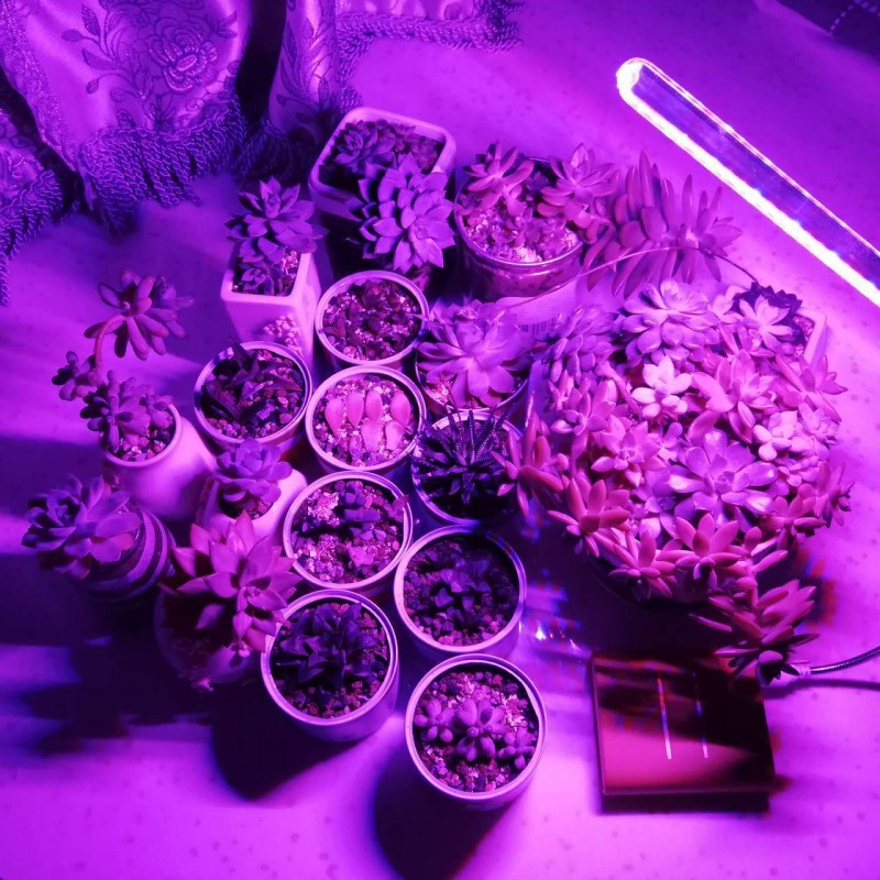 10W Phát Triển USB Đèn Led Di  - đánh giá và giá Plant Grow Light Full Spectrum Clip On