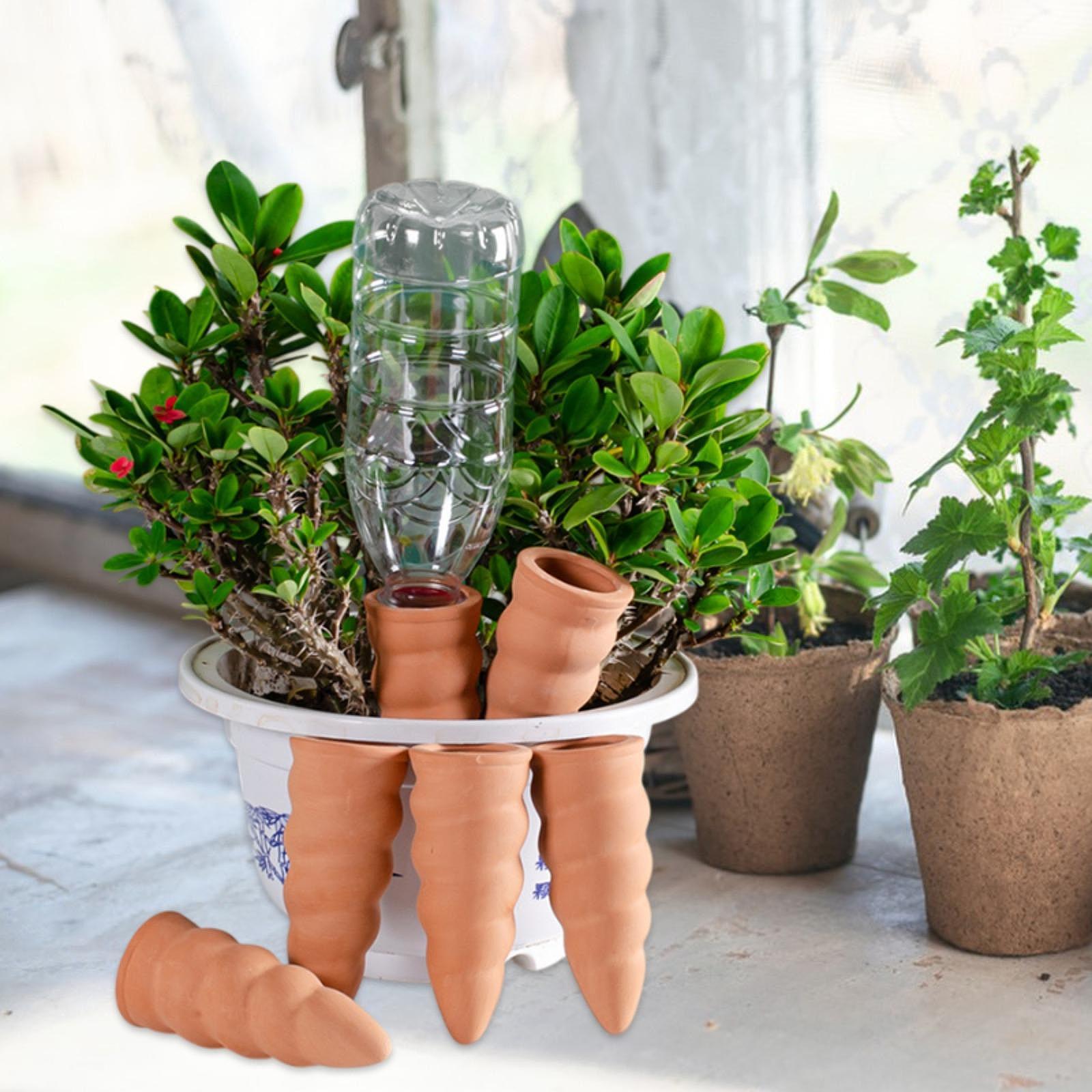 Automatic Self Watering Spikes - đánh giá và giá Automatic Plant Watering Spikes Drip Kit
