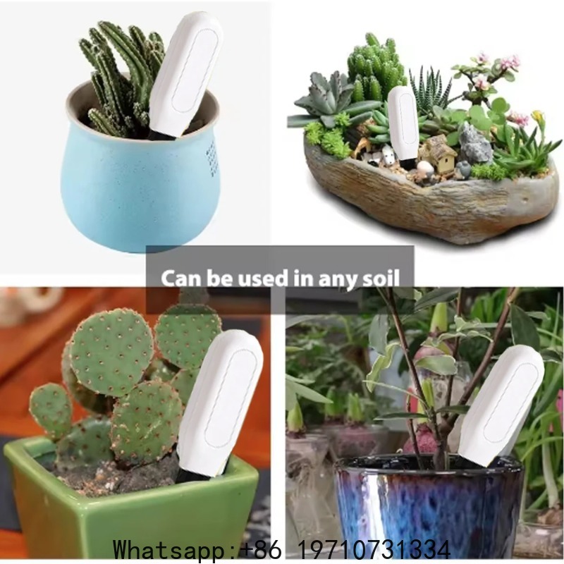 Wifi Zigbee Smart Soil Tester  - đánh giá và giá Wifi Soil Moisture Sensor Garden App