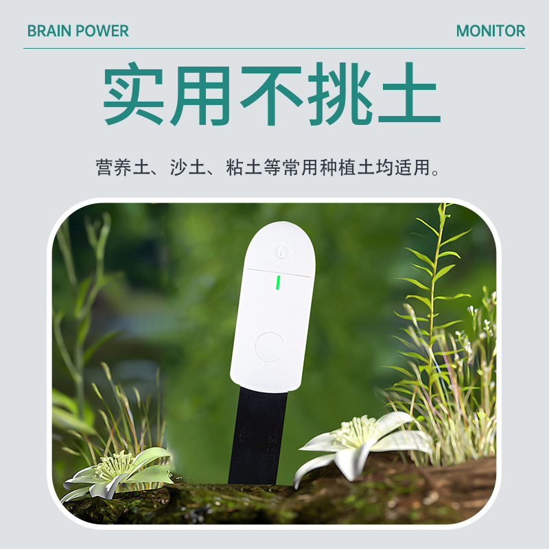 Smart Soil Moisture Meter Mois - đánh giá và giá Smart Plant Sensor Soil Moisture Meter