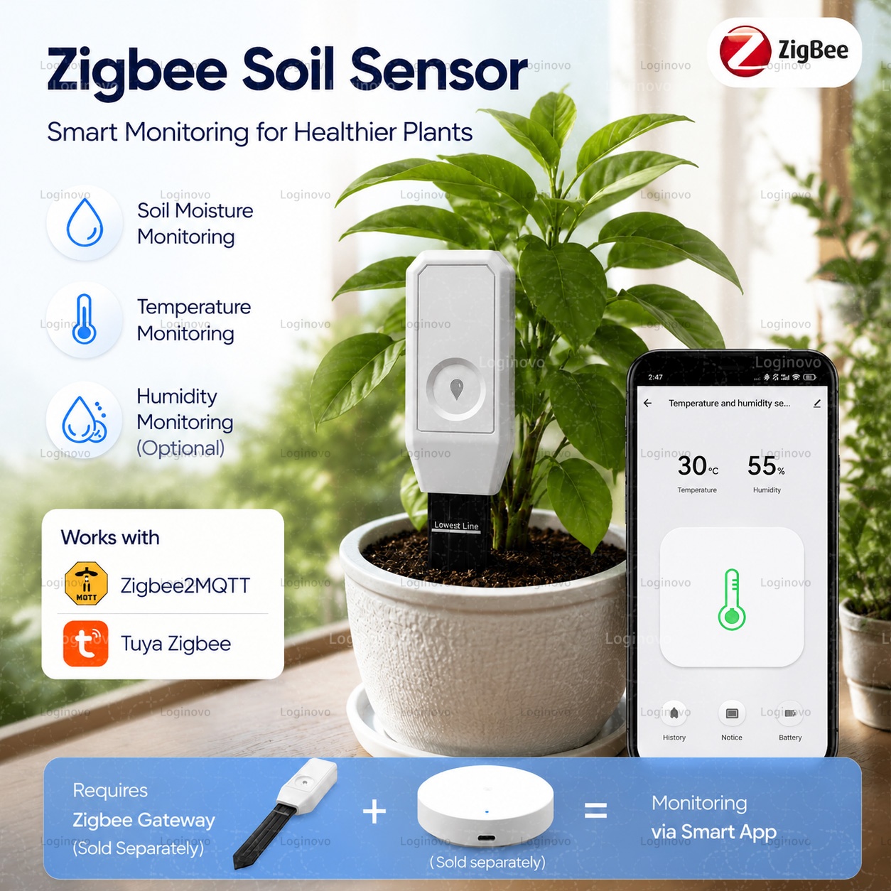 Tuya Zigbee Soil Moisture Test - đánh giá và giá Smart Plant Sensor Soil Moisture Meter