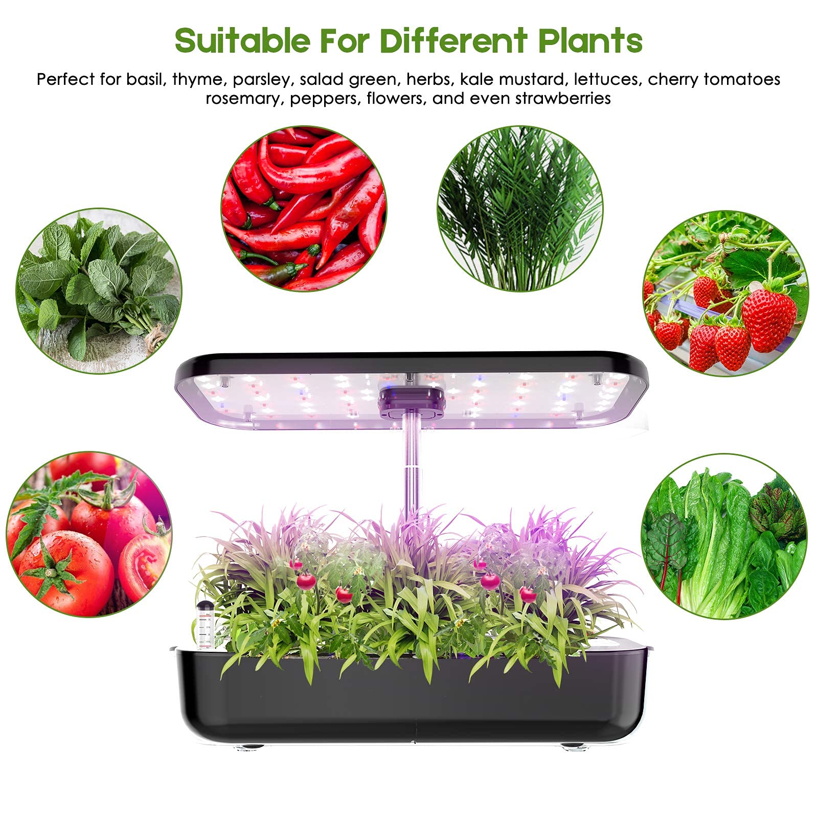 Thủy Canh Phát Triển Hệ Thống  - đánh giá và giá Indoor Herb Garden Grow Light Smart Kit